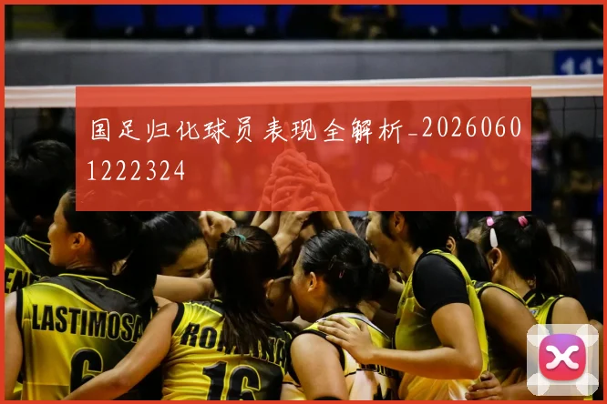 国足归化球员表现全解析_20260601222324