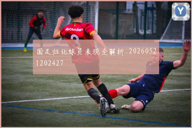 国足归化球员表现全解析_20260521202427