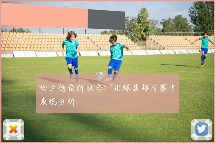 哈兰德最新动态：进球集锦与赛季表现分析